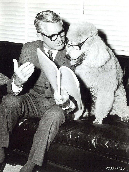 Cary Grant sitting on a lounge with a script open and showing it to a dog wearing glasses